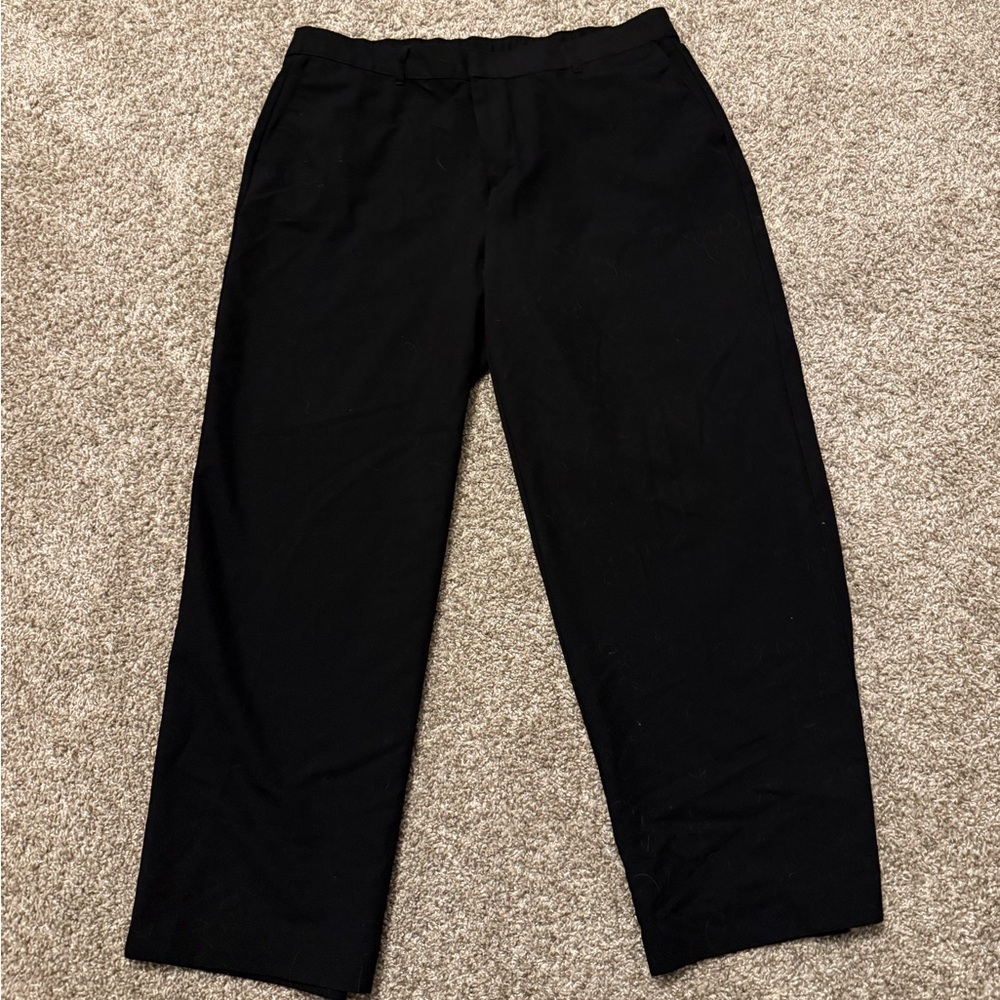 Torrid Dress Pants